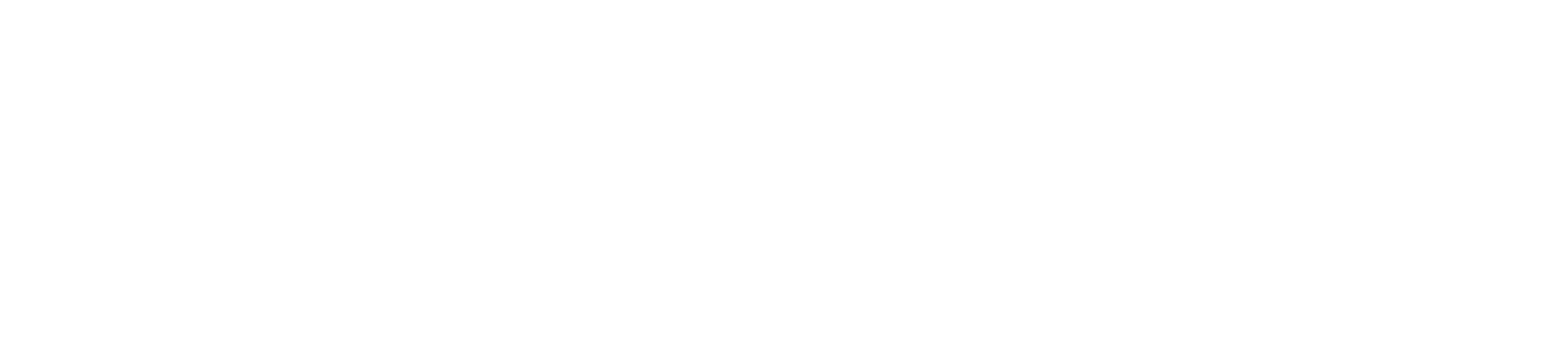 Avarita-logo11